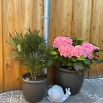 Kleine Auszeit בית נופש