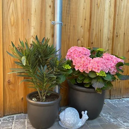 Kleine Auszeit Nyaraló