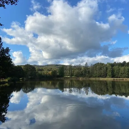 Feriehus Kleine Auszeit Bad Sachsa