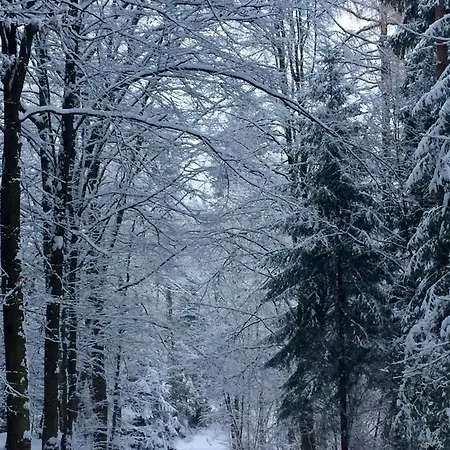 Kleine Auszeit *