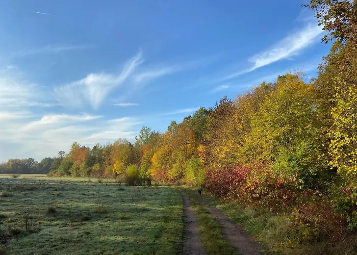 Kleine Auszeit * Bad Sachsa