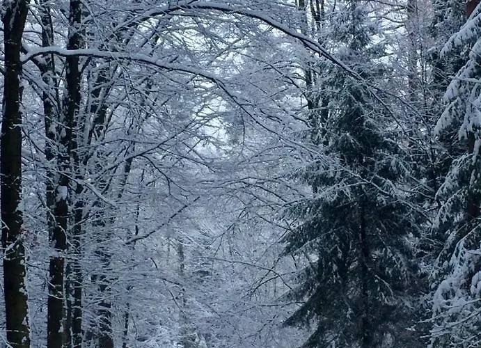 Kleine Auszeit *