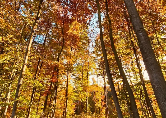 Kleine Auszeit Nyaraló Bad Sachsa